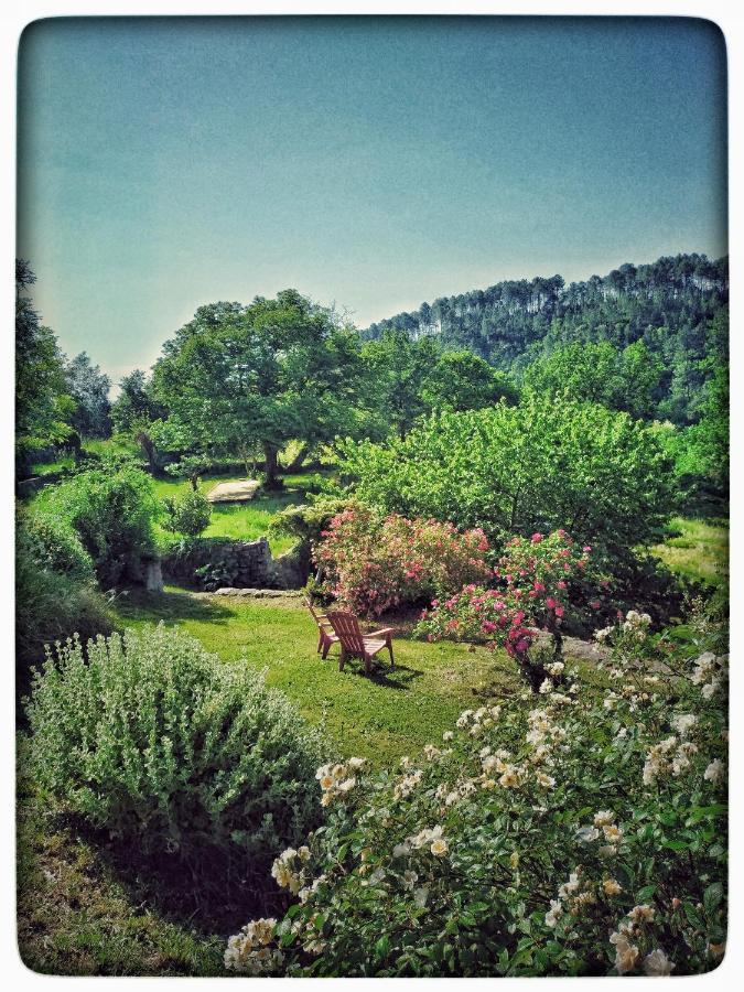 Hélianthy- Gîte 10 personnes en Sud Ardèche Sanilhac  Exterior foto