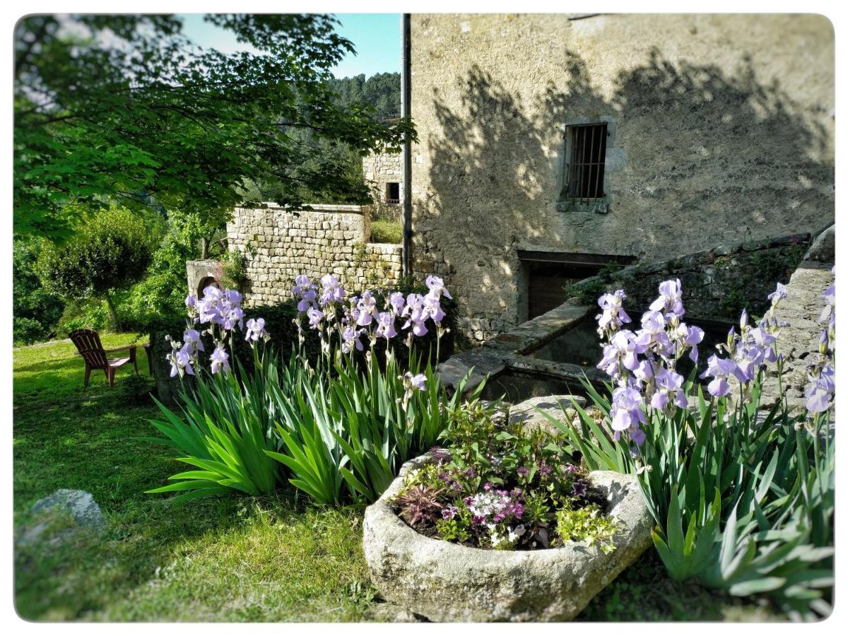 Hélianthy- Gîte 10 personnes en Sud Ardèche Sanilhac  Exterior foto